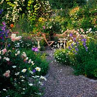 Roses, lavender, oregano, verbena, campanula, daisy, geranium and astrantia fill this garden with scent and colour in June.