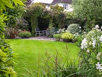 Small back garden with lawn and seating area edged in beds of white lily, alstroemeria, cosmos, agapanthus and Shasta daisy - phormium, arctotis, clematis, jasmine, olive tree.
