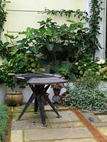 Barbecue stands beside raised bed planted with fig tree and Hydrangea arborescens 'Annabelle'. Reclaimed brick and stone floor surface.