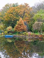 Boat moored on lake near bank - autumn coloured leaves on trees 