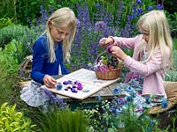 Children in the garden, picking and pressing flowers between the pages of an old nursery rhyme book. They have chosen pimpinella, cow parsley, violas, hardy geraniums and love-in-the-mist.