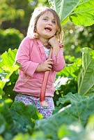 Little Girl in a rhubarb field holding a piece of rhubarb. Spring.