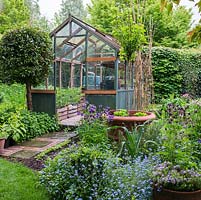 A wooden framed greenhouse in spring vegetable garden, with a clipped standard bay tree in front.