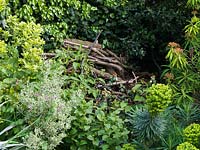A pile of branches too big to compost create a sanctuary for wildlife.