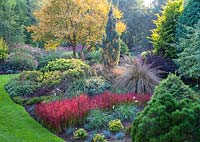 Colourful mixed planting with Imperata cylindrica Rubra in border at Foggy Bottom garden, Bressingham Gardens in Autumn.