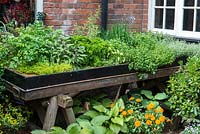 A small couryard with raised bed filled with herbs.