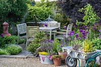 A patio seating area behind a small container garden planted with lavender, origano, thyme, sage and strawberry in terracotta containers, metal bath tub and upcycled wheelbarrow.