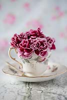 Pinks arranged in a teacup