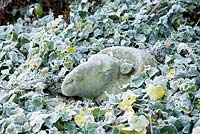 Tup's head stone carving among ivy
