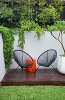 A timber deck with two black Acapulco chairs, an orange plastic drum table a round white plastic pot with a Plumeria, Frangipani in it in front of a grey painted cement rendered retaining wall. With succulents spilling over the wall and a screen of Slender weavers bamboo.