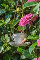 Hanging teacup at Driftwood garden