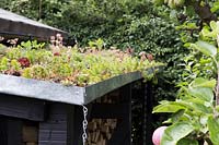 Wood store living roof