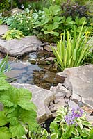 Naturalistic Water Garden - Jackie Knight's Just Add Water - RHS Chatsworth Flower Show 2017  Designer: Jackie Sutton - Built and sponsored by Jackie Knight Landscapes