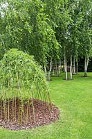 A woven Willow structure with viewing holes made for children to play in, with Birch trees in background