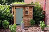 Environmental green roof on shed