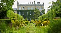 View down The Thyme Walk with Golden Yew Topiary, towards Highgrove House, June, 2019. 