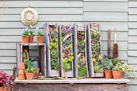 Succulent pallet planters with pots and garden tools.