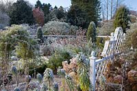 View over mixed beds of frosted plants with free-standing white wooden trellis