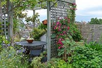 Wooden trellis screens the dining area on a roof terrace, on the right Clematis 'Madame Julia Correvin' scrambling up the screen.