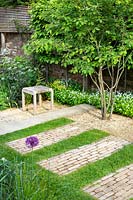 Paving set into lawn with small seating area beneath an Amelanchier lamarckii tree.