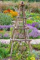 Hazel Pole Obelisk in colourful garden