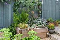 Small raised bed against a fence, planted with herbs such as Salvia rosmarinus - Rosemary 