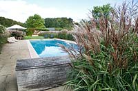 Miscanthus sinensis bordering the swimming pool at Grendon Court, September
