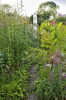Bog garden with obelisk. Mixed planting with Althea officinalis, Osmunda regalis, Canna x and Lythrum salicaria.  