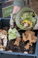 A wormery in a garden. Adding vegetable food waste and cardboard.