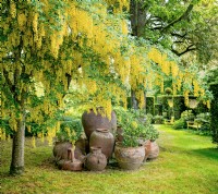 Terracotta pot arrangements in the Cottage Garden, May, 2022.
