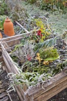 Compost heap in winter frost.