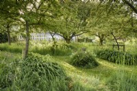 Orchard with long grass, mown paths and a central sun dial in May in a country garden