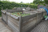 Compost bins at Garden Organic - June