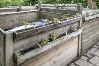 Compost bins at Garden Organic with wooden planters attached - June
