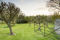Gate opening into an orchard on an April evening