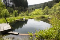 Natural swimming pool with view to forest. May