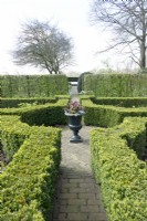 Path with ornament and topiary classic buxus hedges.