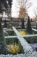 The East Garden at The Bishop's Palace Garden in Wells on a January morning, with evergreen hedges of Euonymus japonicus 'Green Spire' and slim pyramids of yew.