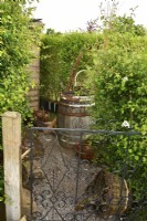 Fenced area for waste, including a barrel for plant waste.