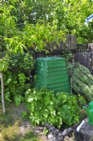 Closed plastic composter in the corner of the garden among fresh green plants and cut branches.