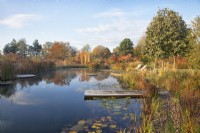 Natural swimming pool with diving platform and seating area surrounded by autumnal coloured trees and ornamental grasses.