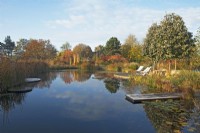 Reflections in a natural swimming pool with seating area and diving platform, surrounded by autumnal coloured trees and ornamental grasses.