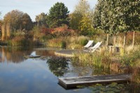 Natural swimming pool with seating area and diving platform surrounded by ornamental grasses and trees.