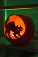 Halloween carved and decorated pumpkin lantern depicting a cat. October