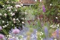 Rustic brick outbuilding with Rosa 'Generous Gardener' seen through the flower borders and meadow lawn