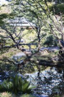 The edge of the Seisen pond with hotel and surrounding trees reflected in the water. 