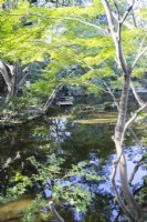 Part of Seisen pond with trees reflected in the water. 
