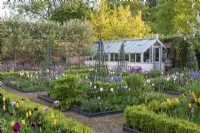 View to an old glasshouse, across square, rope-edged beds filled with tulips, camassias, honesty, angelica and clematis scrambling up metal obelisks.