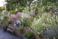 Stone walls edge a cottage garden border, with paved modern patio at the bottom, red and white Valerian self seeding through the border