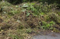 Pile of composting plants, branches and leaves in summer.